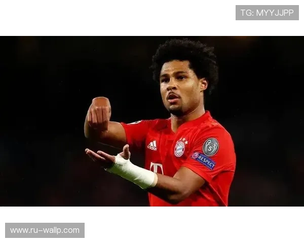 格纳布里战术执行力