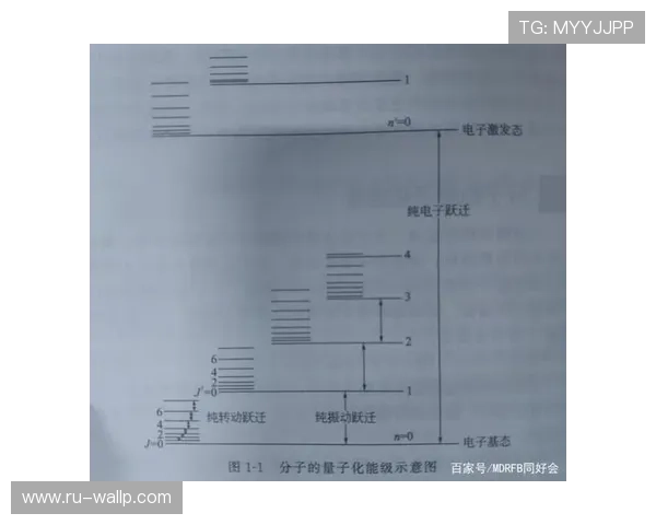 萨卡从新星到顶级边锋的数据跃迁分析